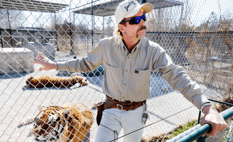 Man in a khaki shirt and cap standing by a fence with tigers lounging in cages behind him.