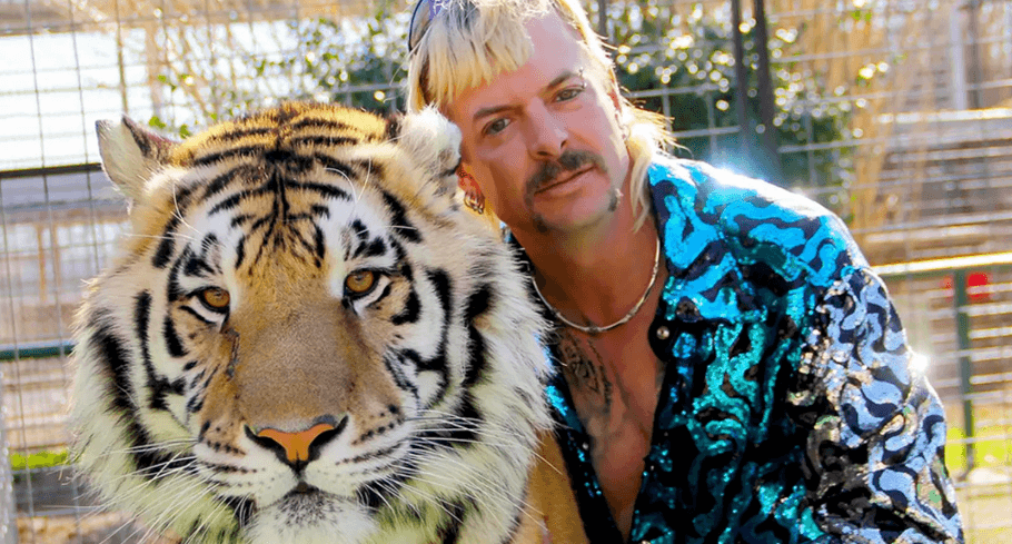 A performer in a blue sequined jacket posing beside a tiger.